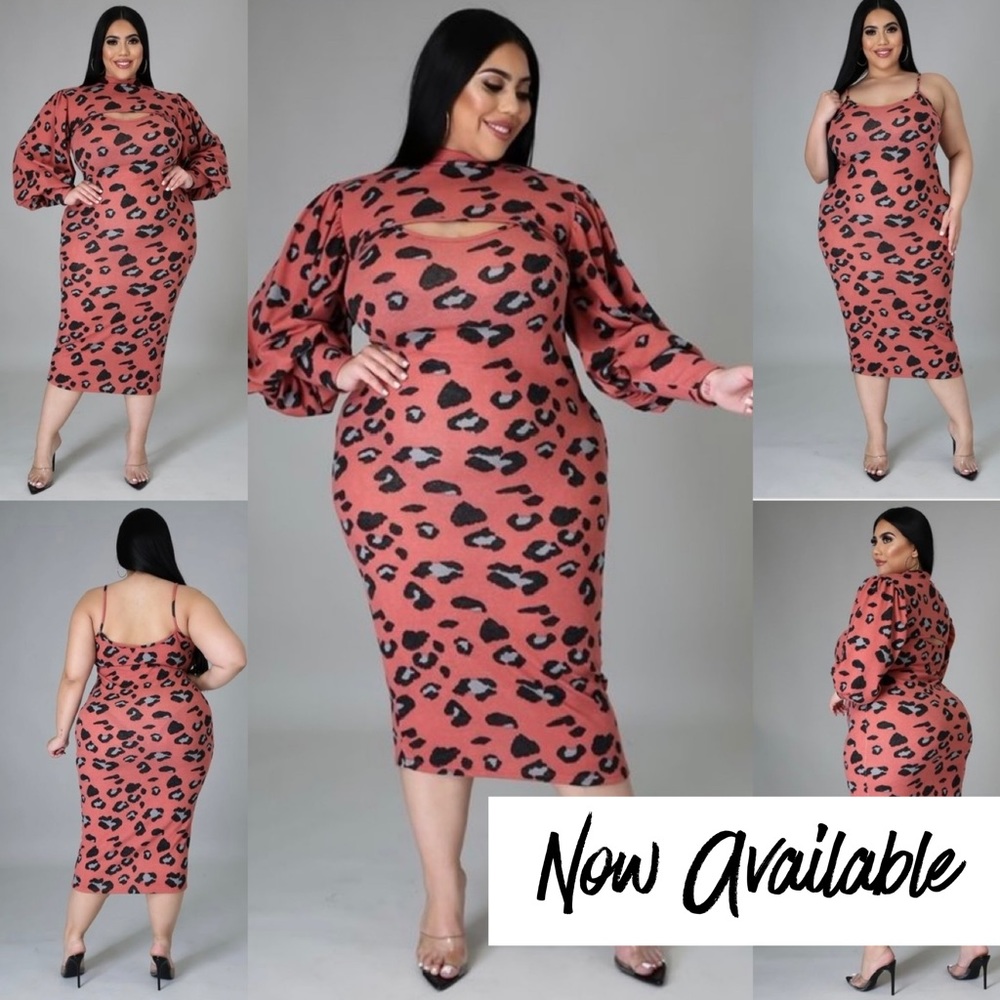 ✨♥️ 2-Piece Leopard Stretch Dress
